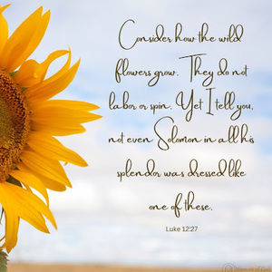 Meet your Posher, Audrey